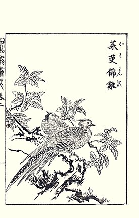 photo16.jpg