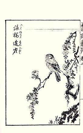 photo19.jpg