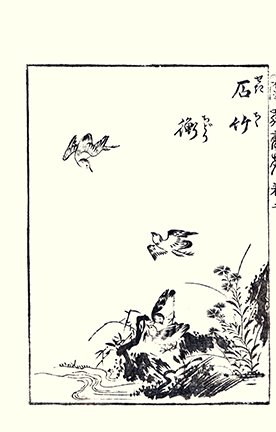 photo23.jpg