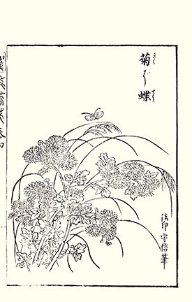 photo29.jpg