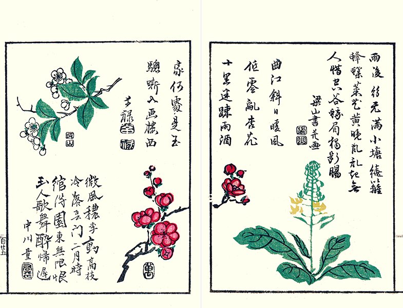 photo26.jpg