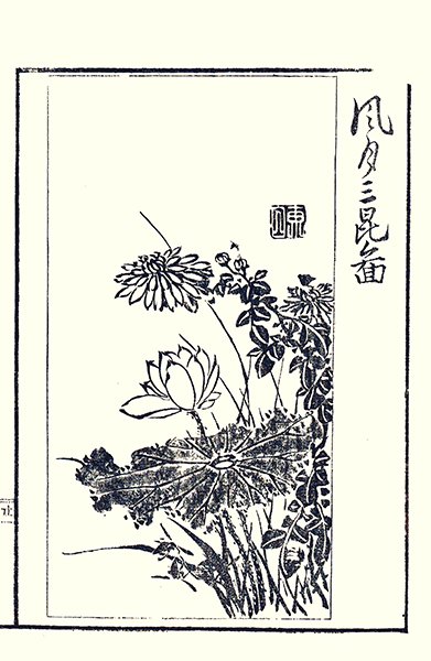 photo9.jpg