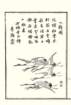photo15_small.jpg