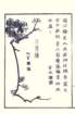 photo18_small.jpg