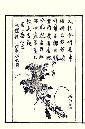photo19.jpg