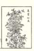 photo36_small.jpg