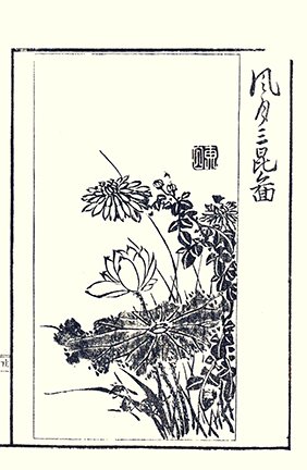 photo9.jpg