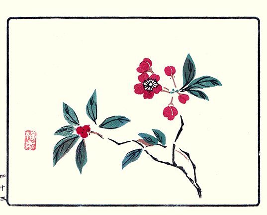 photo20.jpg