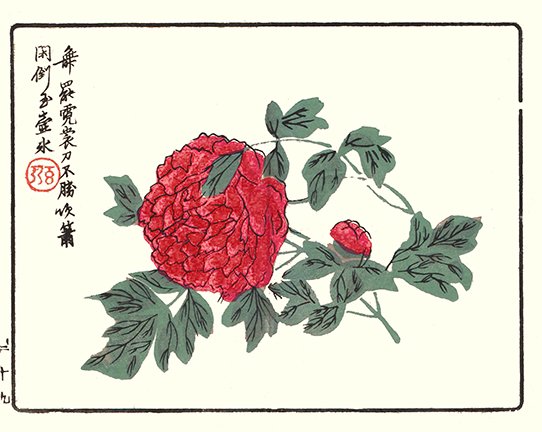 photo6.jpg