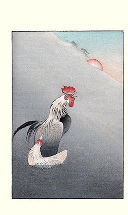 photo8.jpg