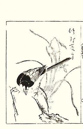 photo6.jpg