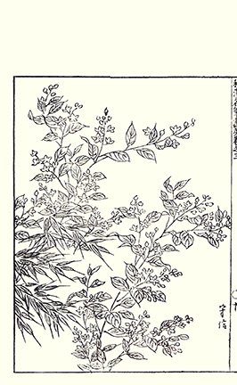 photo14.jpg