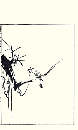 photo16.jpg