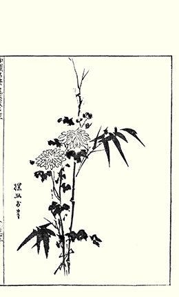 photo19.jpg