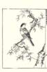 photo24_small.jpg