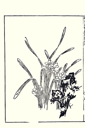 photo25.jpg