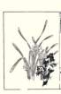 photo25_small.jpg