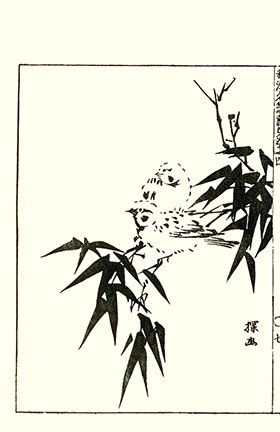 photo29.jpg