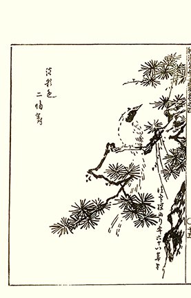 photo34.jpg