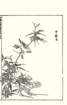 photo37_small.jpg