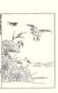 photo38_small.jpg