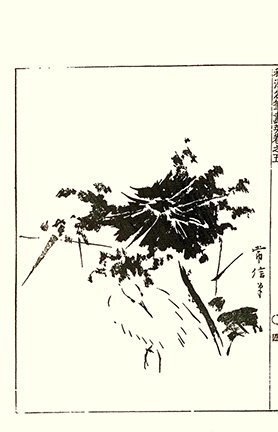 photo39.jpg