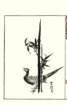 photo42_small.jpg