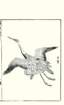 photo5_small.jpg