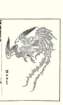 photo6_small.jpg