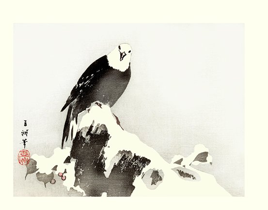 photo22.jpg