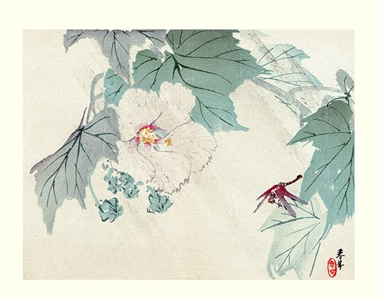 photo43.jpg