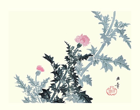 photo44.jpg