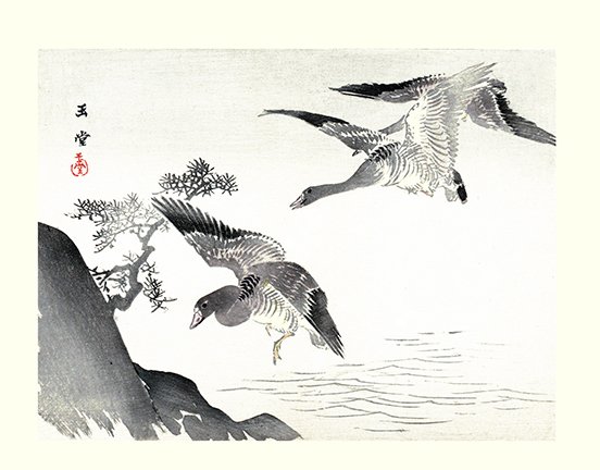 photo8.jpg
