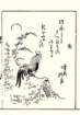 photo15_small.jpg
