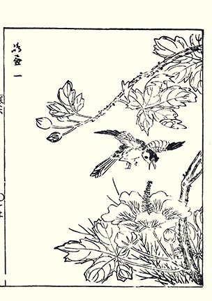 photo18.jpg
