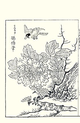 photo11.jpg