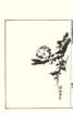 photo10_small.jpg