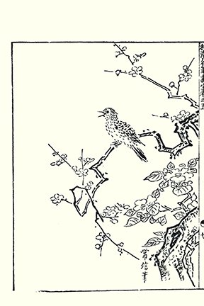 photo17.jpg