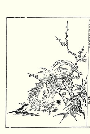 photo19.jpg