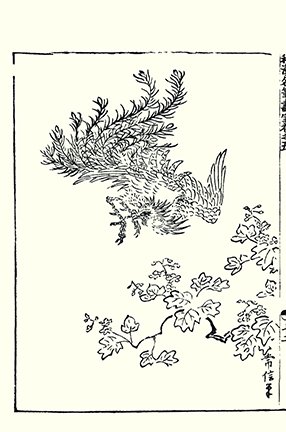 photo22.jpg