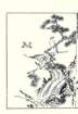 photo26_small.jpg