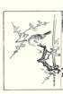 photo27_small.jpg