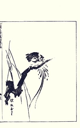 photo7.jpg
