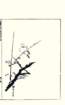 photo9_small.jpg