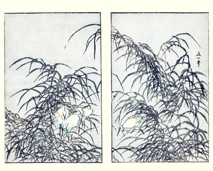 photo13.jpg