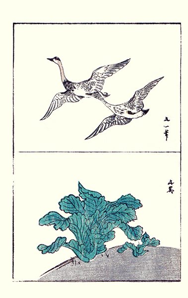 photo8.jpg