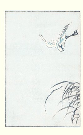 photo14.jpg