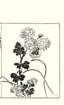 photo11_small.jpg