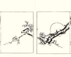 photo16_small.jpg
