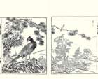photo9_small.jpg